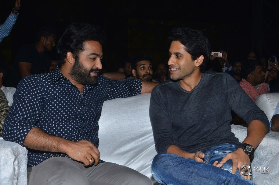 Mr-Majnu-Movie-Pre-Release-Event-Photos